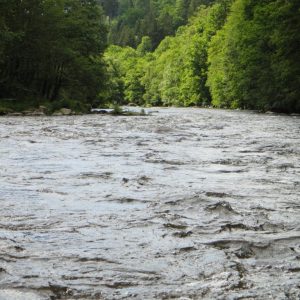 Halbtagestouren auf dem Regen