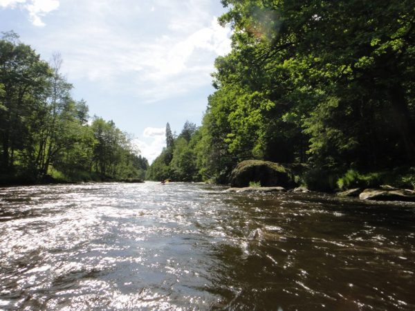 Pralles Grün und große Felsen