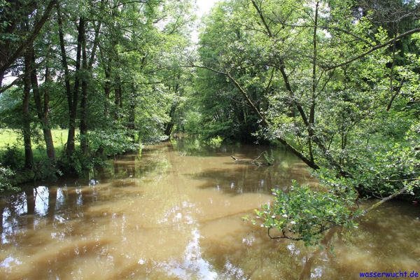 Der fränkische Dschungelfluss:<br> Die Pegnitz zwischen Artelshofen und Hohenstadt