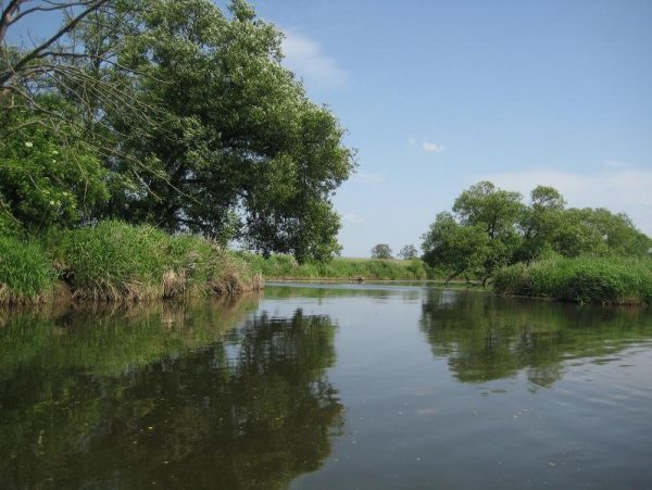 Zwischen Cham und Roding