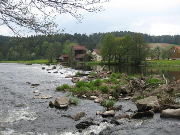 Wehre, Mühlen und Klöster am mittleren Regen: <br>Von Roding bis Reichenbach