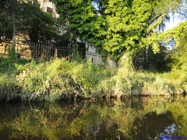 Durch das Naturschutzgebiet Regentalaue: <br>Auf ruhigen Wassern von Cham bis Roding – Bild 2