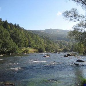 Der Schwall Urleiten zwischen Blaibach und Chamerau.