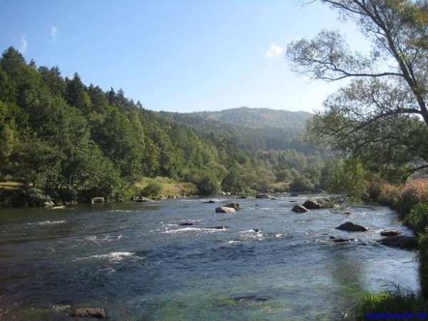 Der Schwall Urleiten zwischen Blaibach und Chamerau.