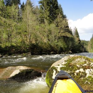 Oberer Regen zwischen Regen und Blaibach (Schwarzer Regen)