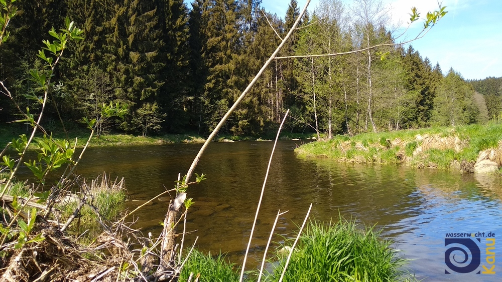 Beim Start in Oberauerkiel