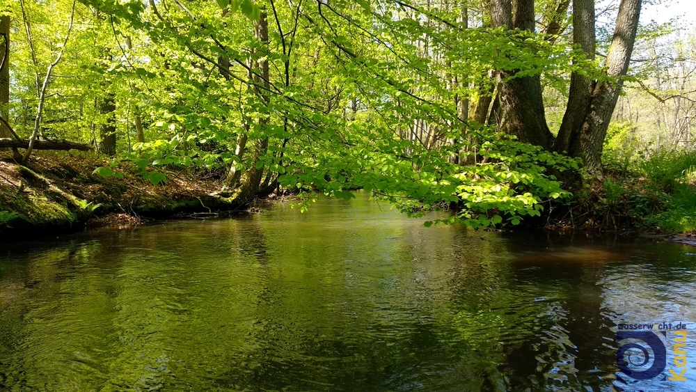 Auf der Luhe