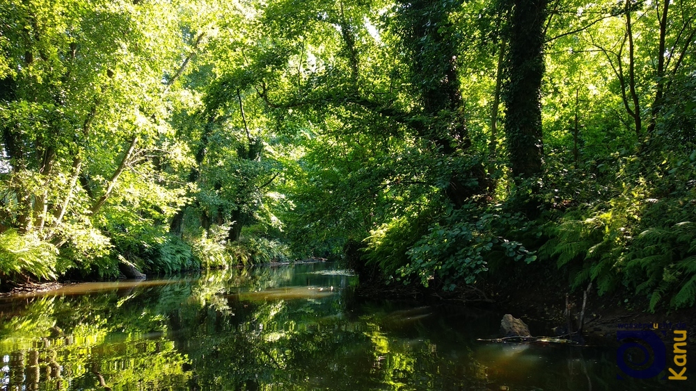 Auf der Böhme bei Dorfmark, Lüneburger Heide.